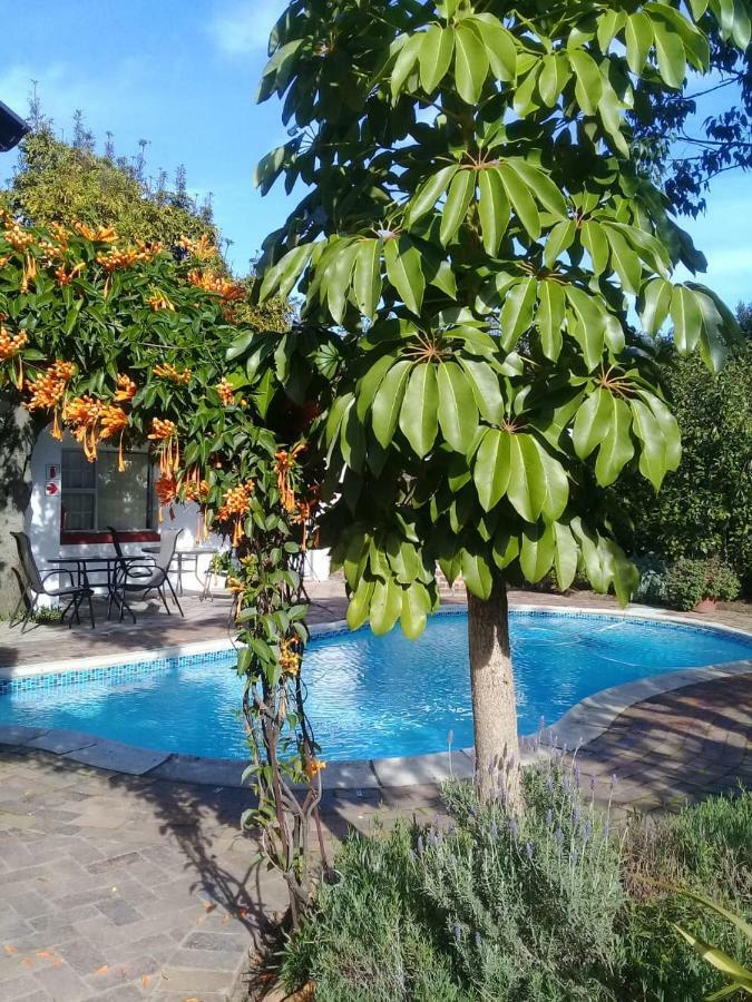 Clouds Guest House Durbanville Exterior photo